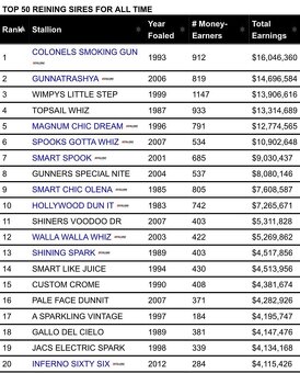 Roční American Quarter Horse black klisna, vnučka Gunnera - 10