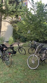 Kolo retro POPAL z Holandska - 10