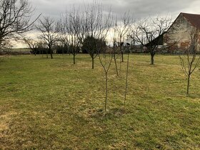 Prodej rodinného domu, obec Bernartice. - 10