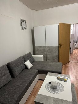 Pronajmu 1+1 na Litoměřické (Staré Město) Děčín - 10