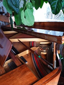 Klavír křídlo Petrof model V, Baroko Gavota Chippendale - 10