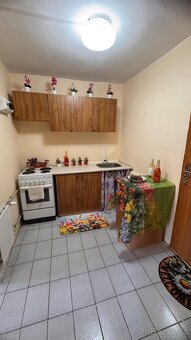 Pronájem bytu Kynšperk nad Ohří - 10