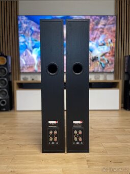 Dali Ikon 7 Mk2 - 10