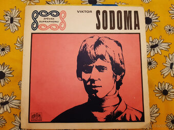 SP deska ružné druhy výběr dle foto 4 - 10