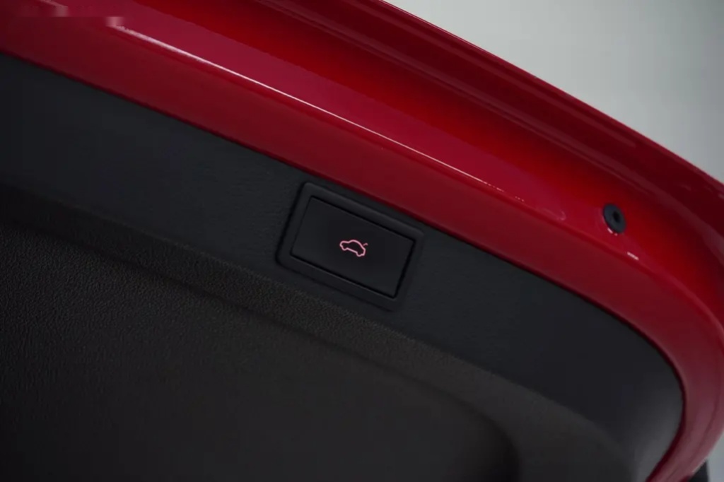 Škoda Octavia, RS,DSG,ACC,CANTON,ČR,1.MAJ,DPH - 11