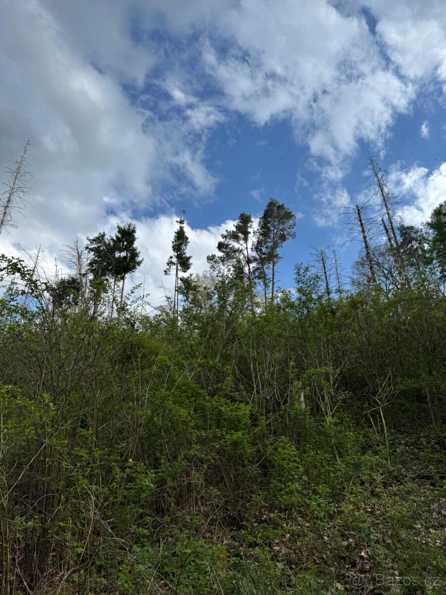 Prodám pozemky v katastrálním území Zahorčice u Vrábče - 11