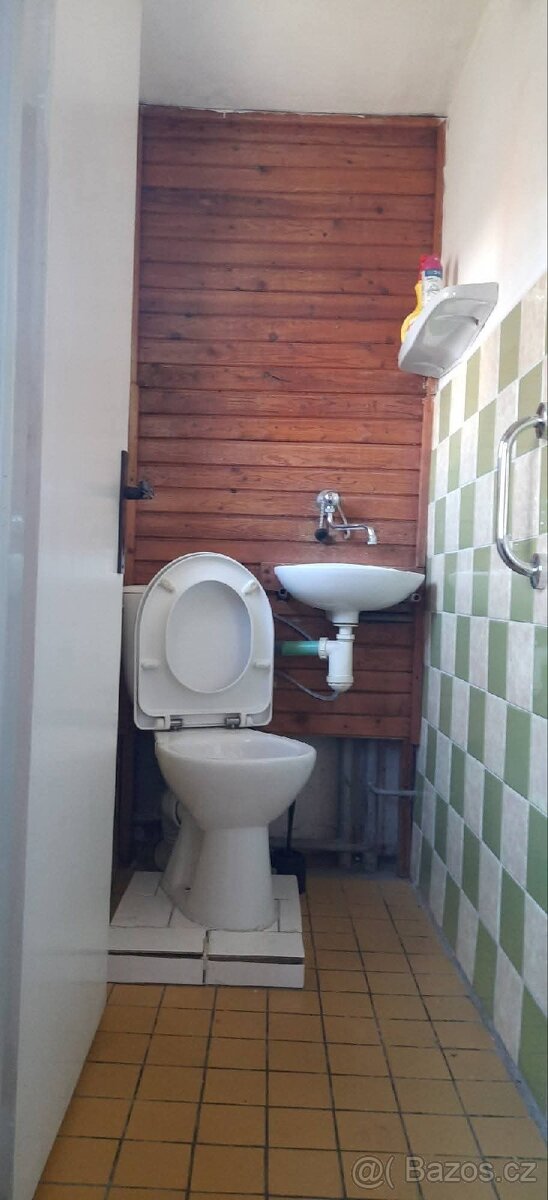 Pronajmu byt v přírodě v Hradci Králové za 10 000 kč - 11