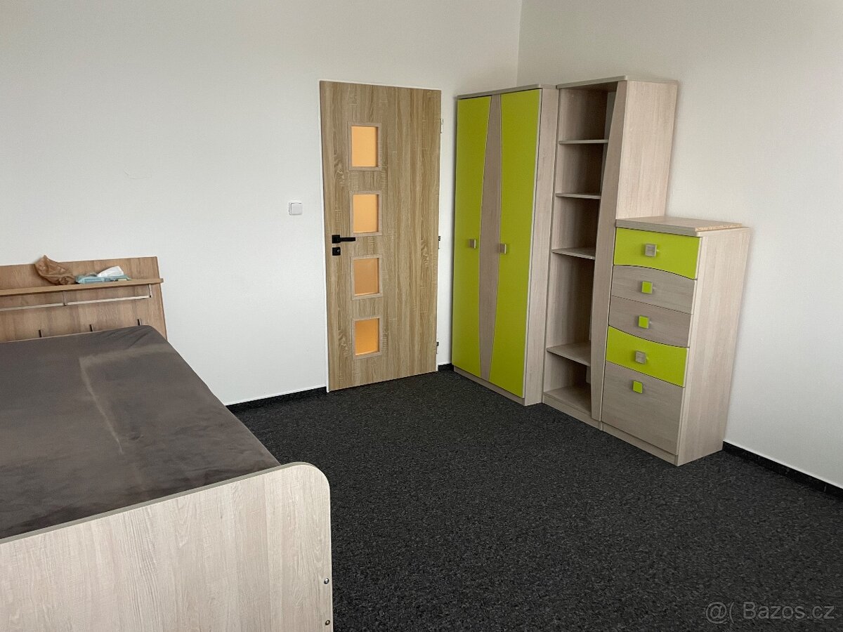 Dobrý den pronajmu byt 3+1 - 11