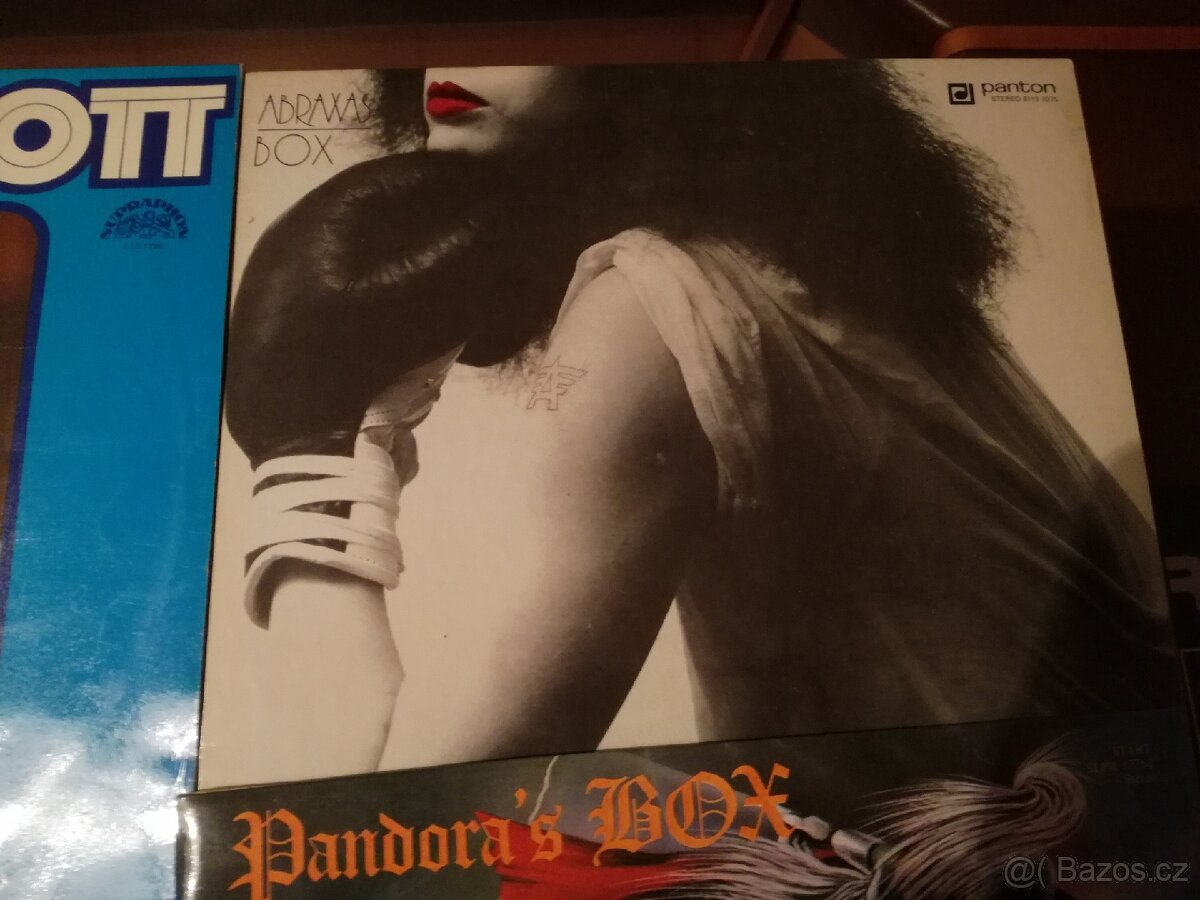 Hudební deska LP vinyl - 11