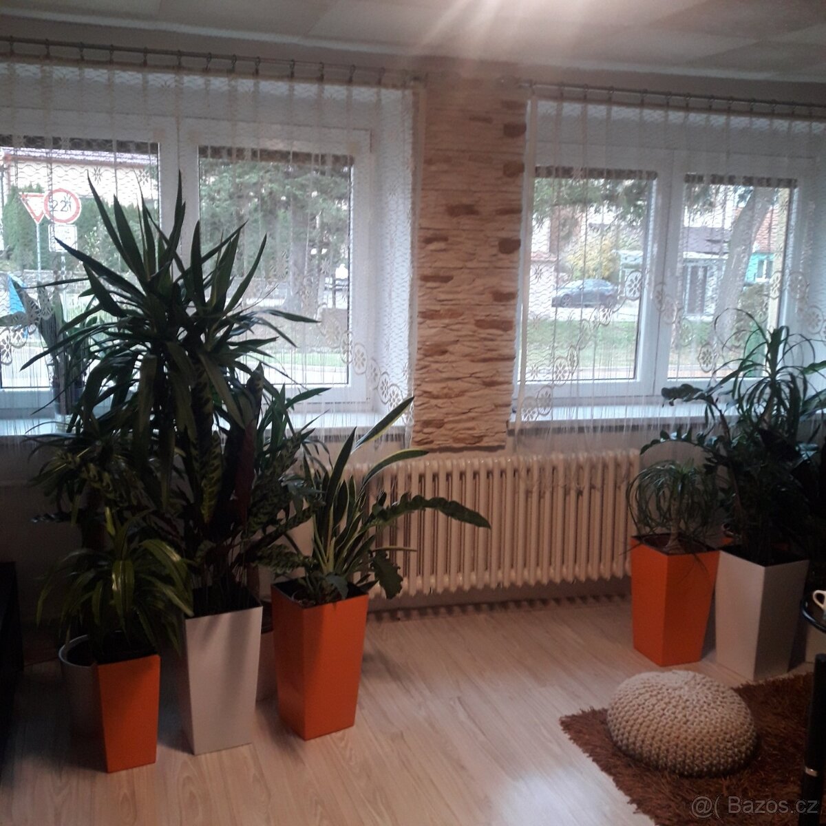 Prodej RD v Rousínově, užitná plocha 230m2, pozemek 1980m2 - 11