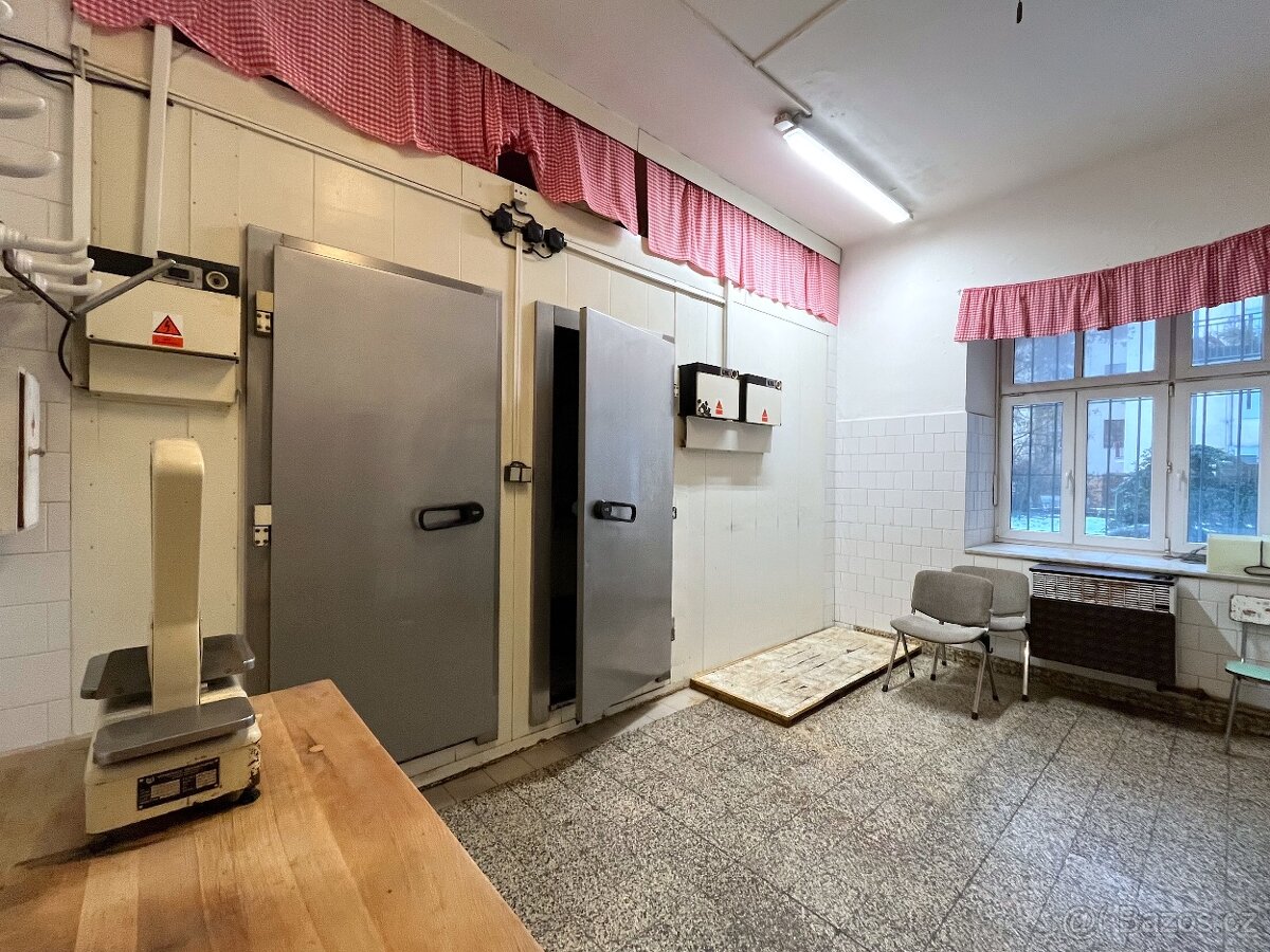 Obchodní prostor Gorkého - 11