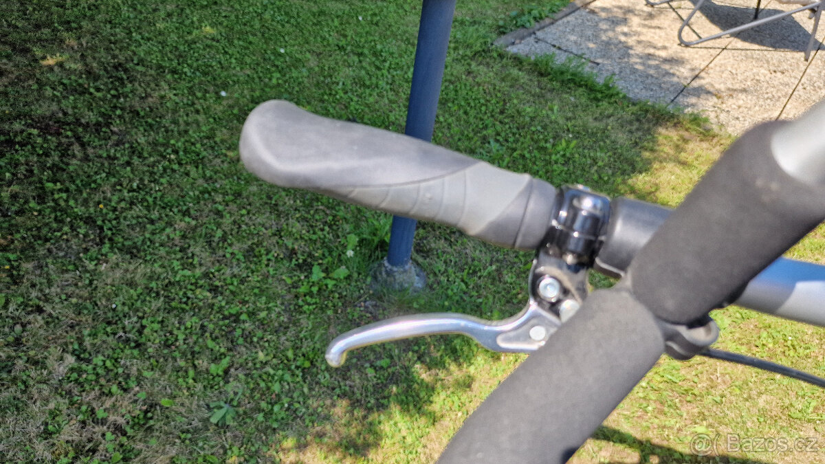 Sportovní vozík Chariot CX1 - 11