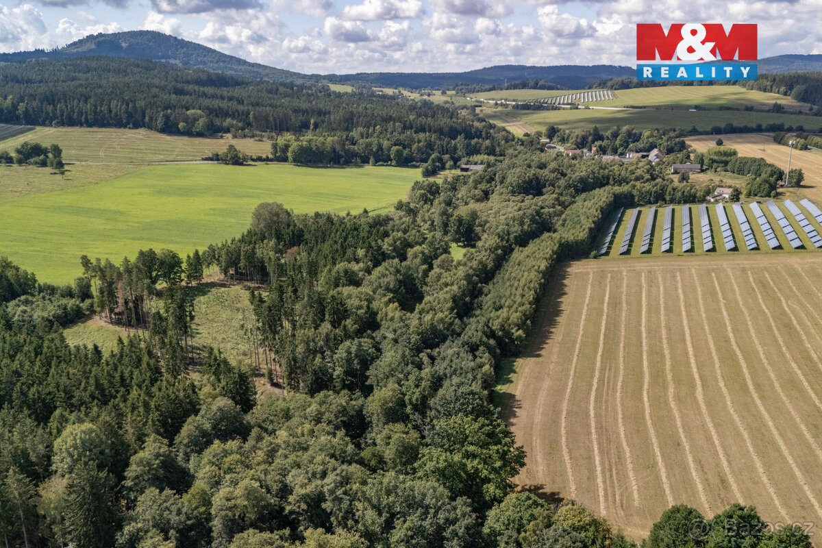 Prodej komerčního pozemku, 238031 m², Přimda - 11