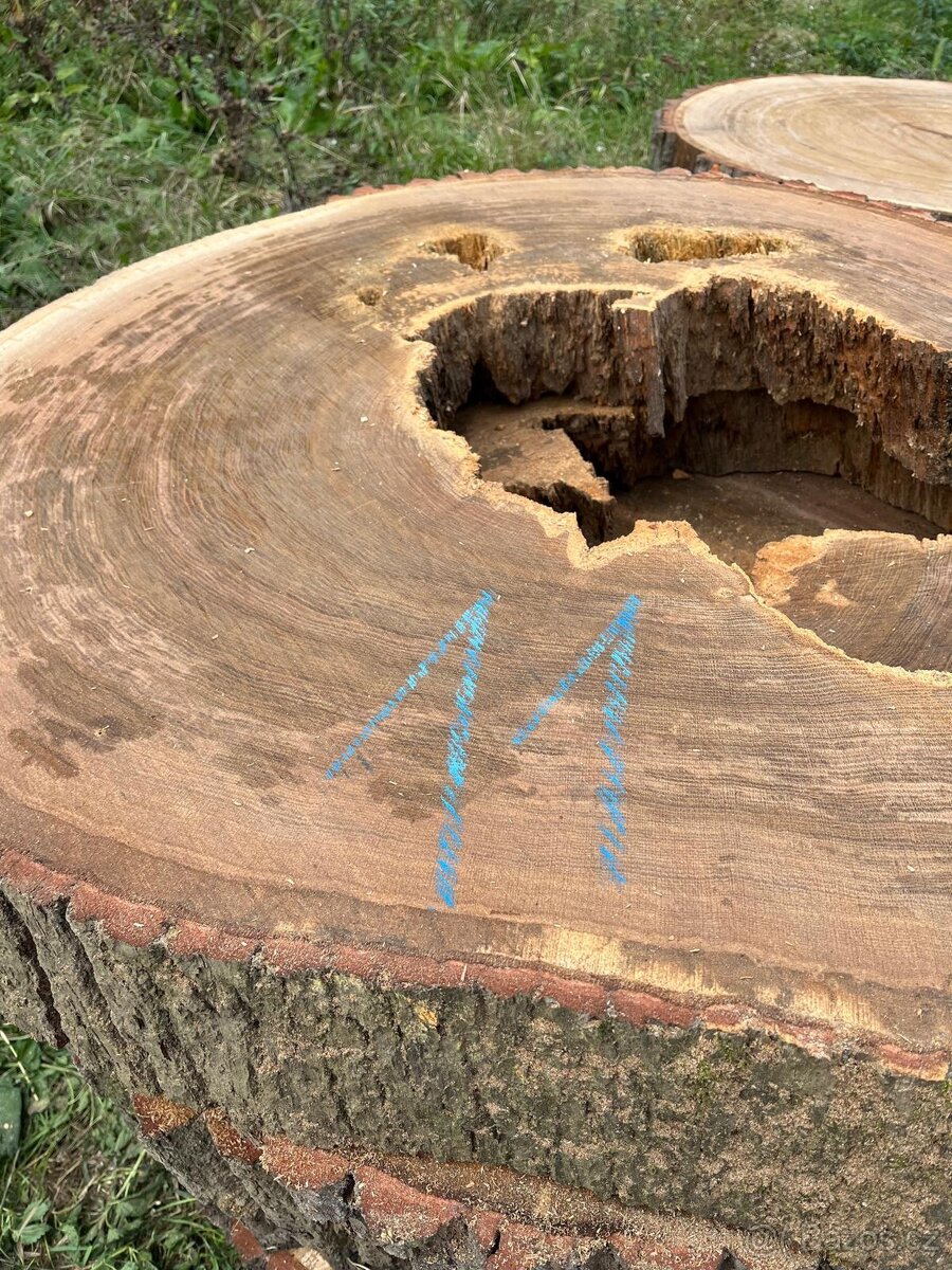 Dubové koláče - 11