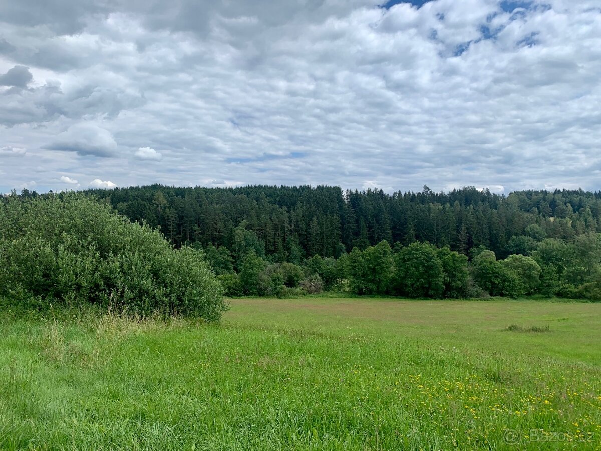 Prodej bývalého mlýna u Malše - 11