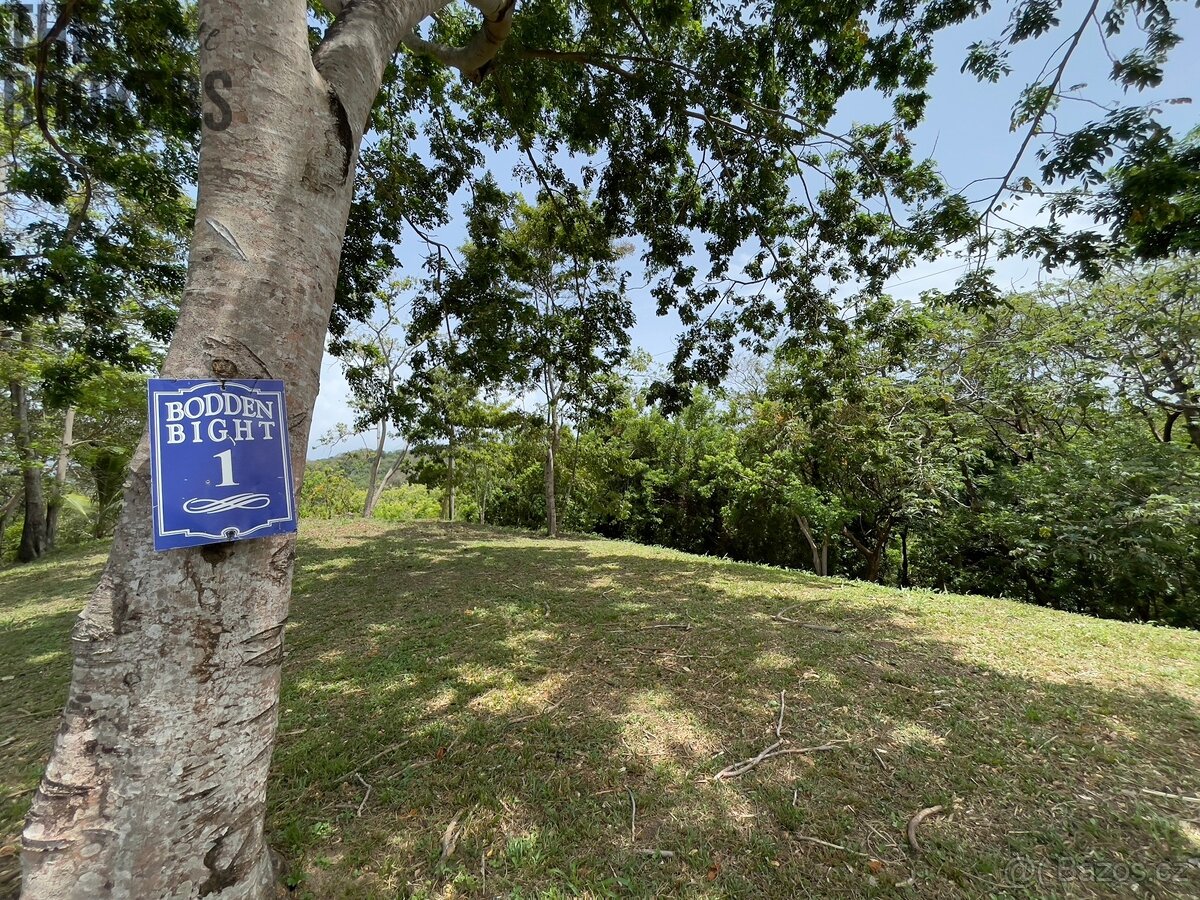 Lot 1 Bodden Bight Estate, Roatan - 11
