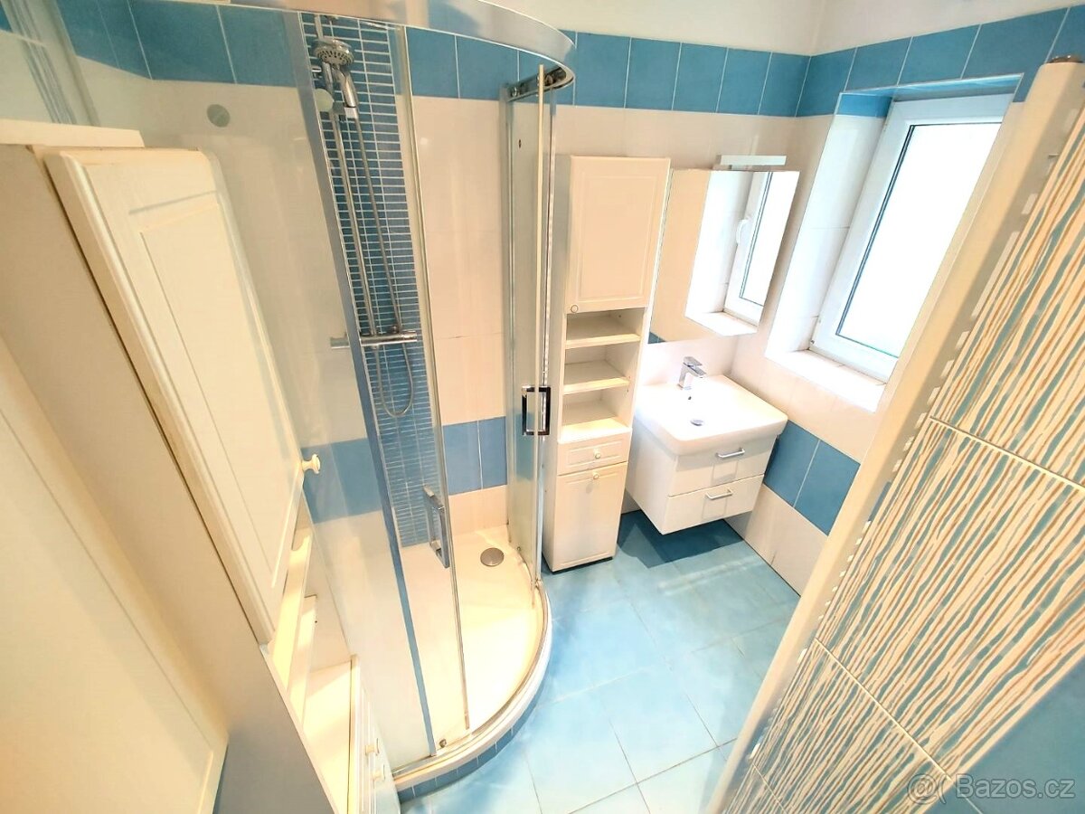 Prodej domu 200m² (pozemek celkově 1181m²), Zásada - 11