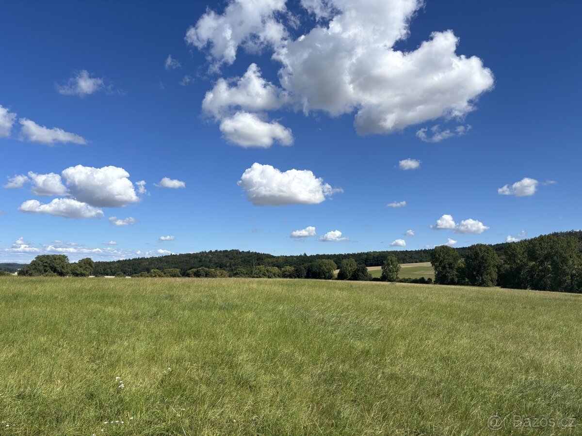 Prodej, pozemek 214865 m², Ježovy - 11