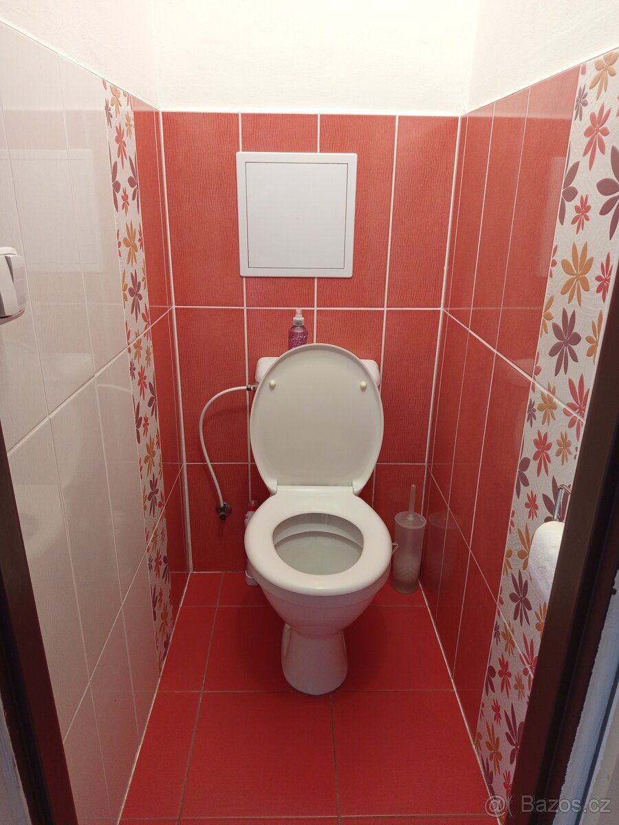 Pronájem bytu - 11
