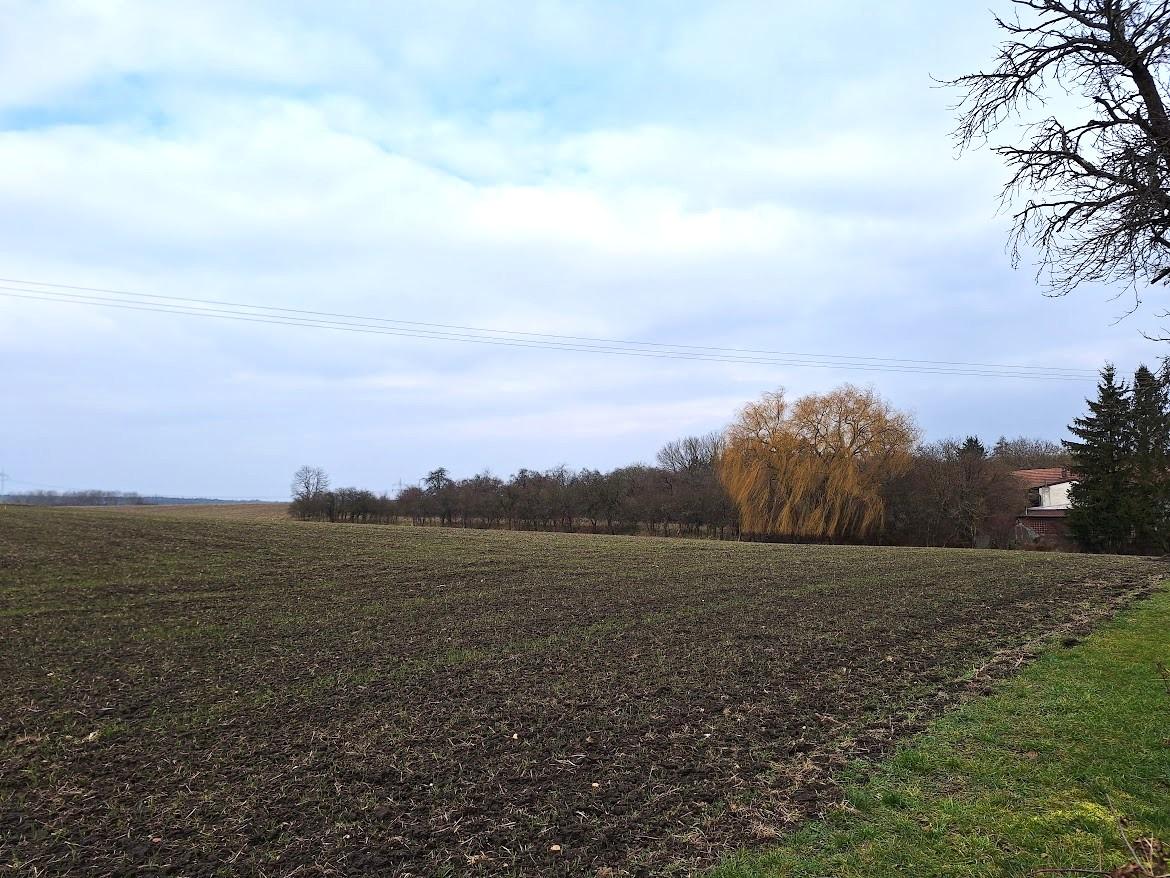 Stavební pozemek 1673 m2, Bělušice, Kolín - 11