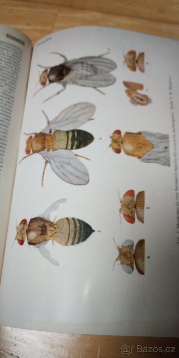 Ottův slovník naučný - 11