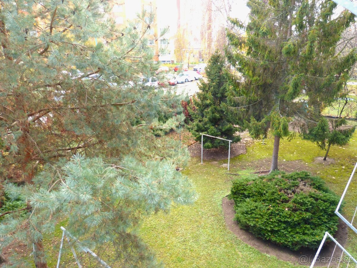 Cihlový byt 4+1 97 m2 s garáží i sklepem Olomouc - 11