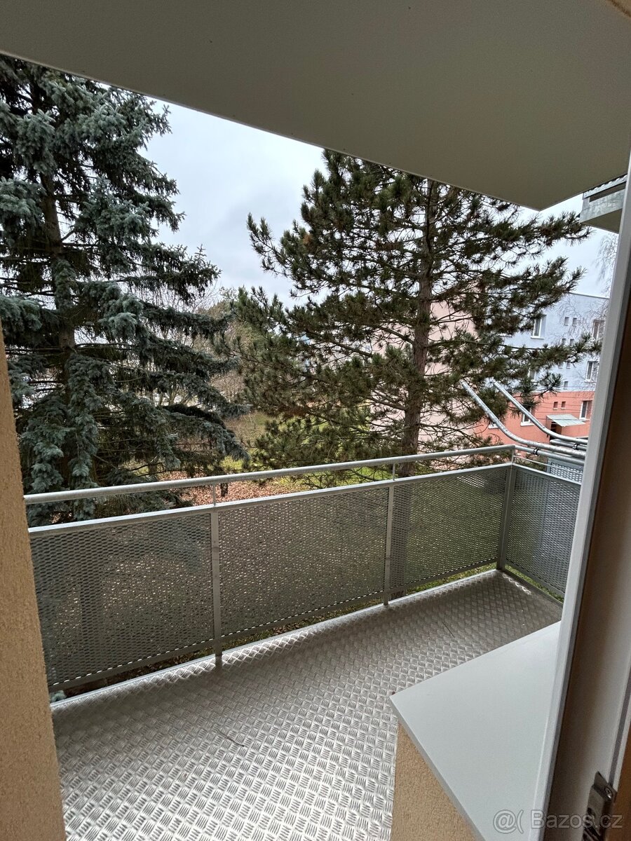 Pronájem Bytu 3+1 Břeclav, ul. Fintajslova - 11