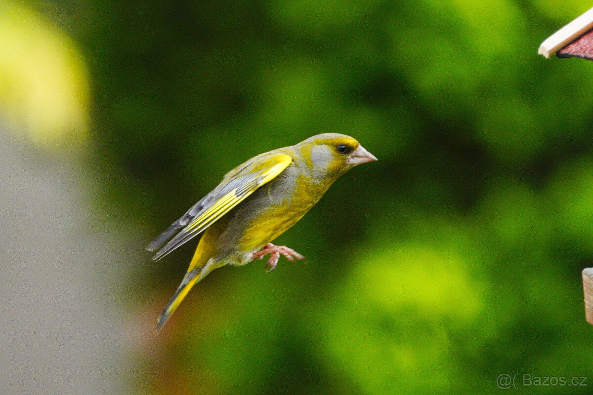 Sony FE 200-600 F/5,6-6,3 OSS + UV filtr TOP STAV - 11