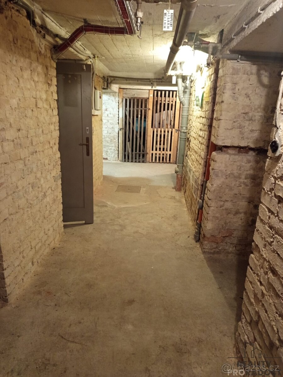 Pronájem bytu Praha Podolí - 11