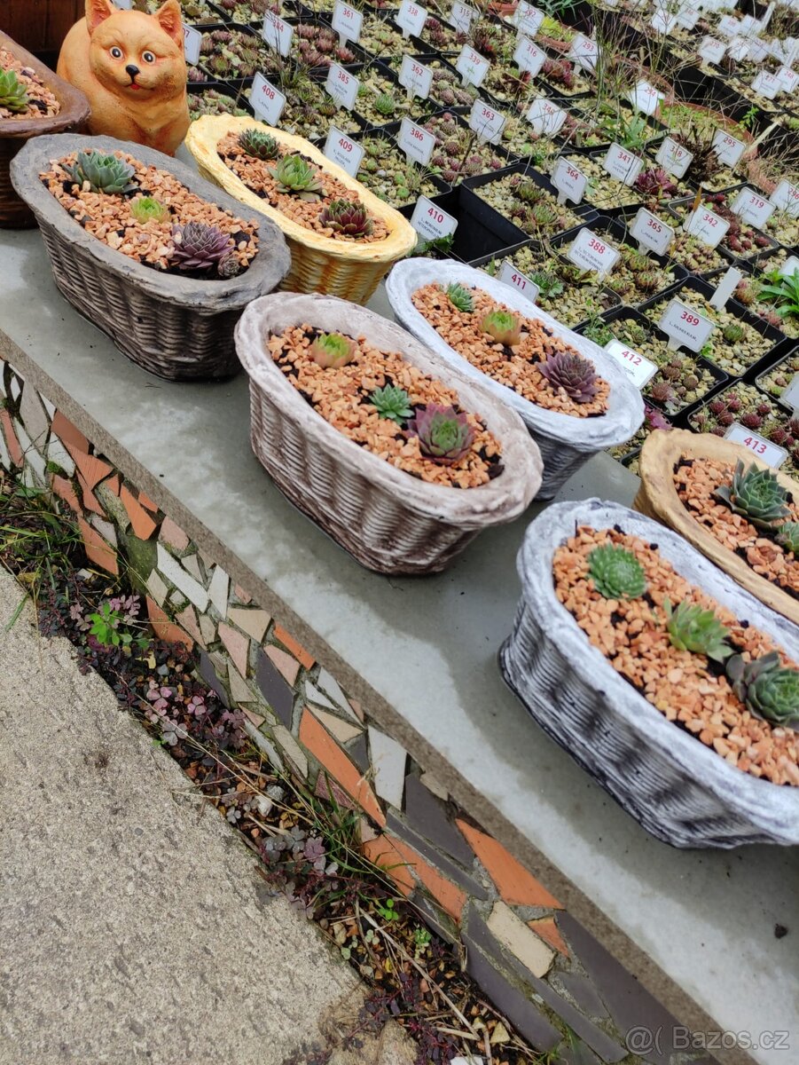 Betonové výrobky / pařez,misky,boty,veverky, ježek/ - 11