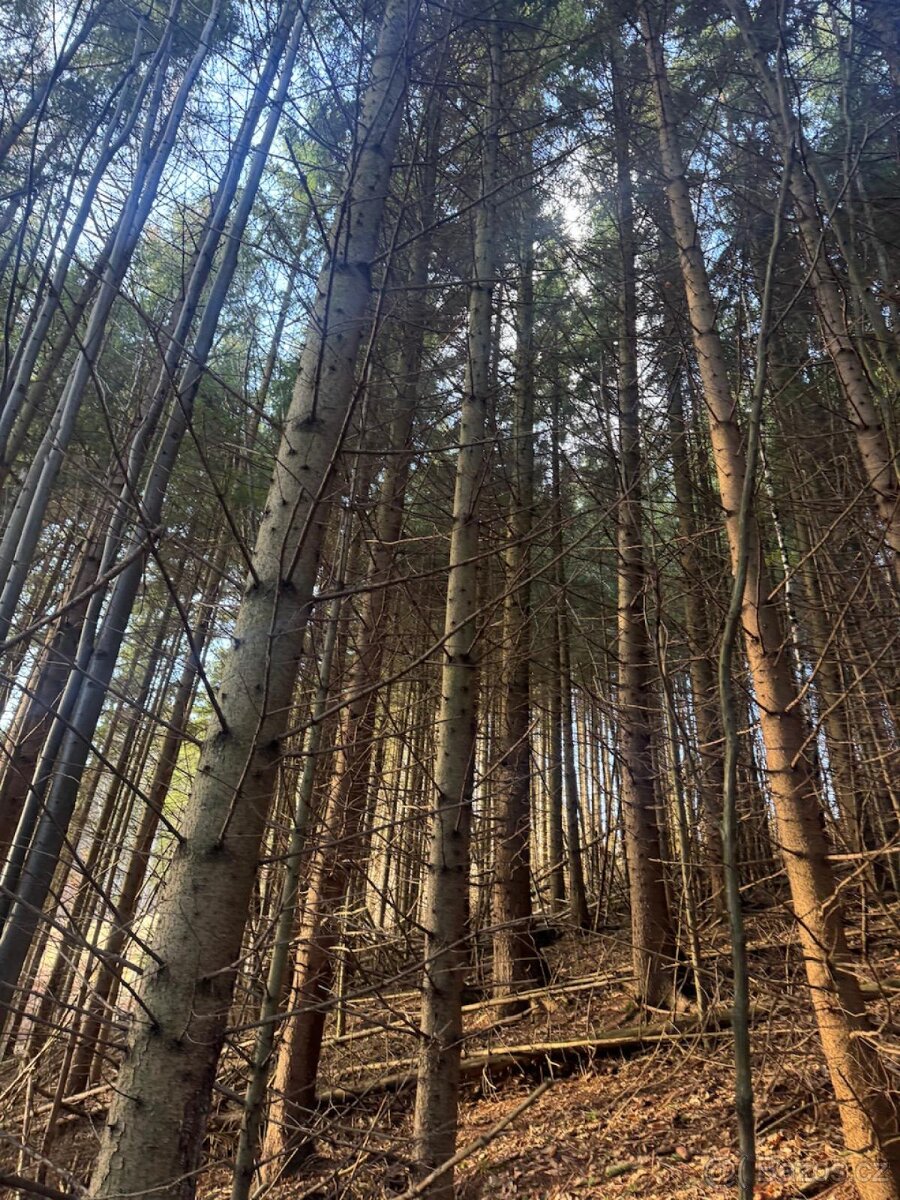 Prodej pozemků k.ú. Huslenky - 11