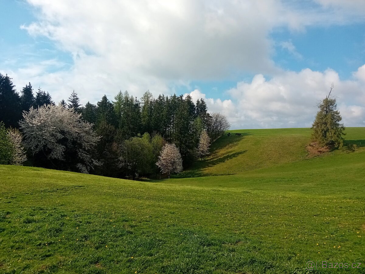 Pastevní ustájení - 11