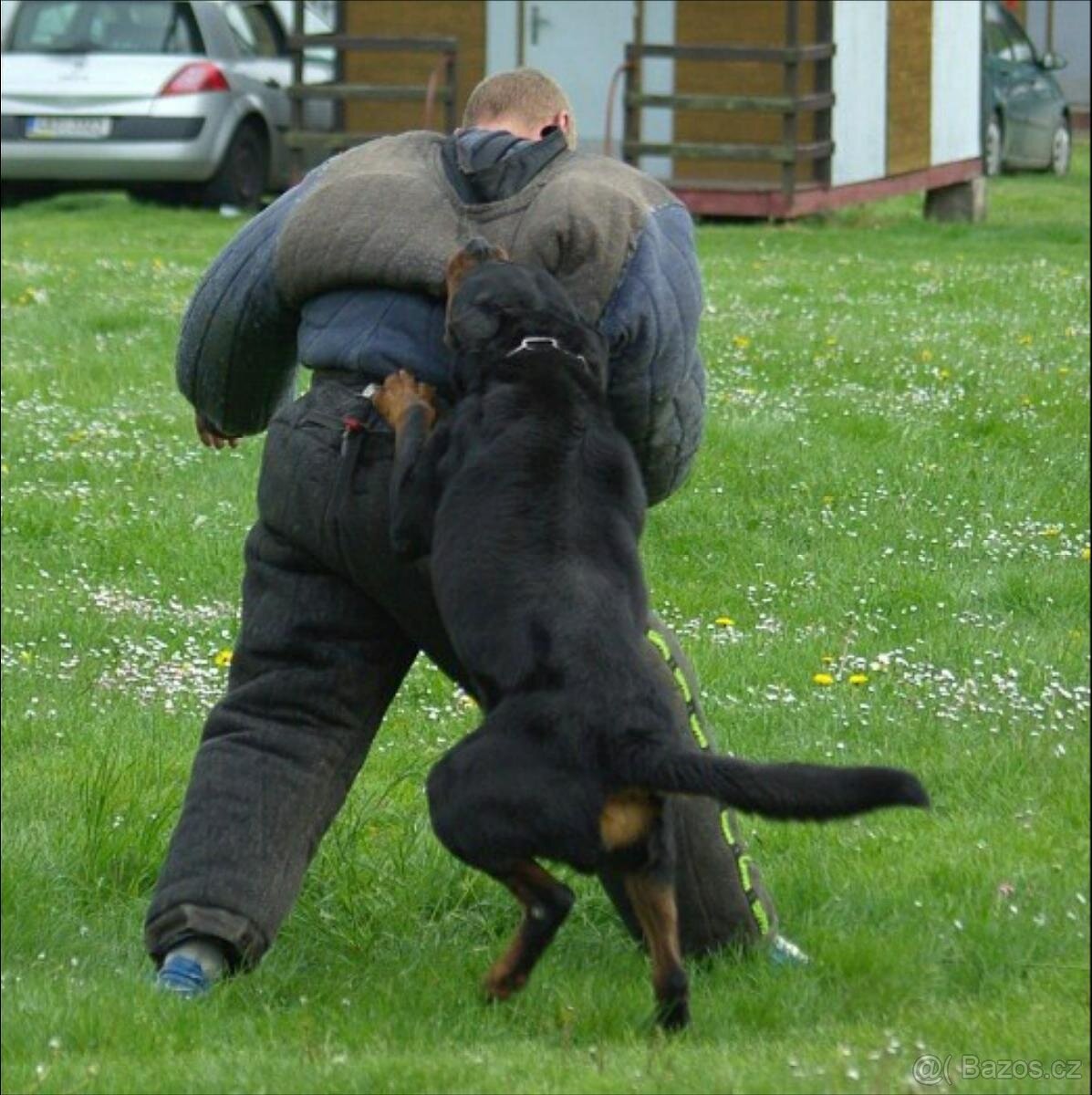 Krytí rotvajler, RTW, rottweiler s PP - 11