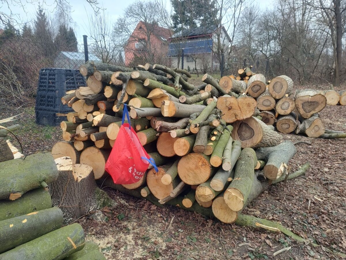 Třešeň - dřevo na uzení - 11