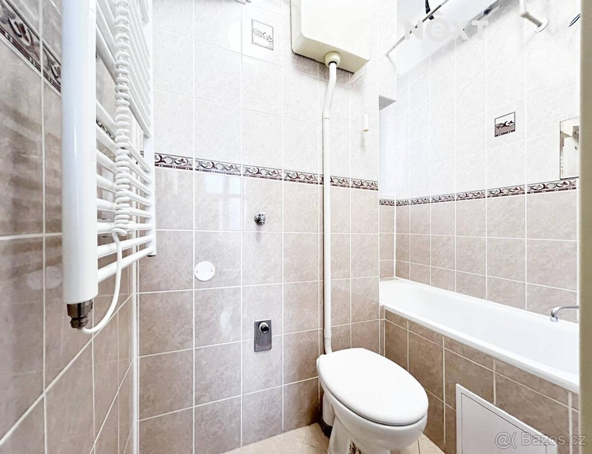 Pronájem byt 2+1, 39㎡ - 11