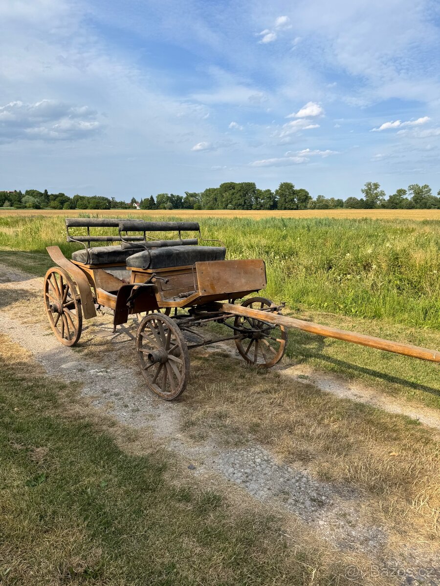 Koňská bryčka - 11