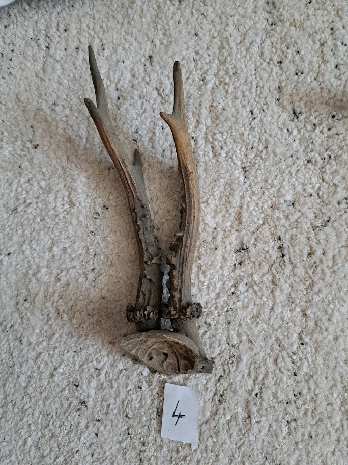 různé starožitné věci - 11