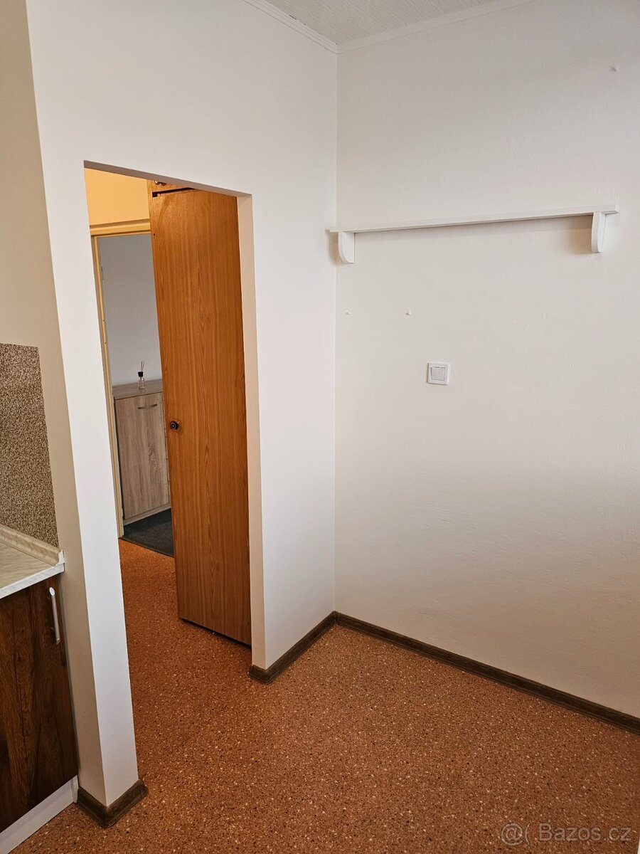 Prodám byt 1+1 v Hodoníně - 11