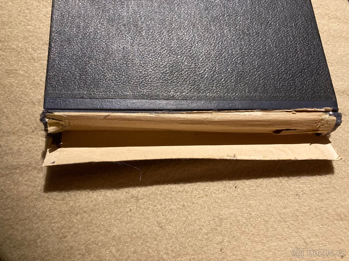 Album A4/16 stran č.81 - 11