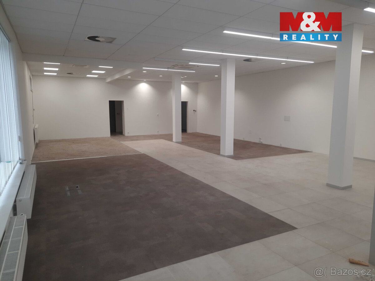 Pronájem obchod a služby v Brně, ul. Minská - 11