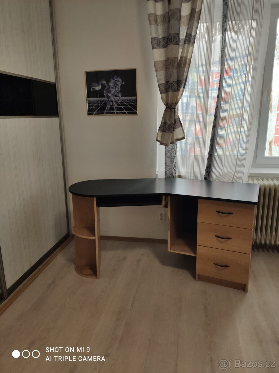 Pronájmu 2+KK v Karlovych Varech - 11