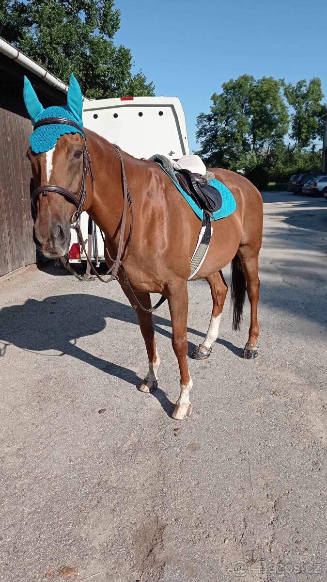 PASOVÁNÍ botiček Scoot Boots : - 11