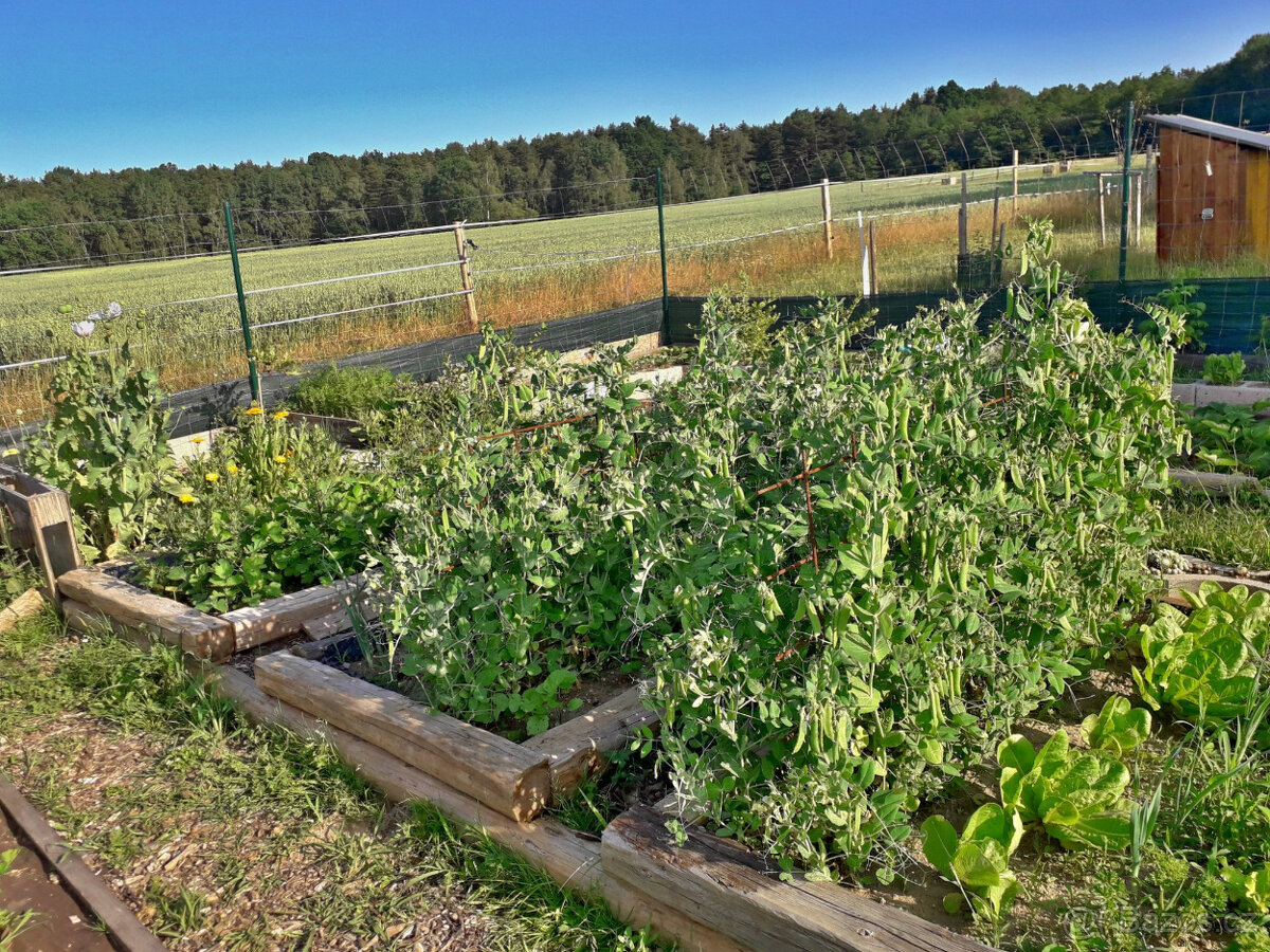 Pastevní ustájení České Budějovice - 11