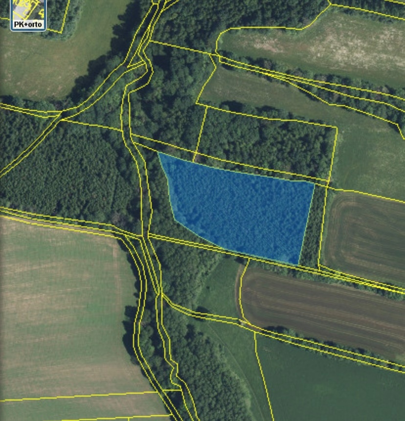 Lesní pozemek a pozemek ostatní plocha Horní Lánov - 11