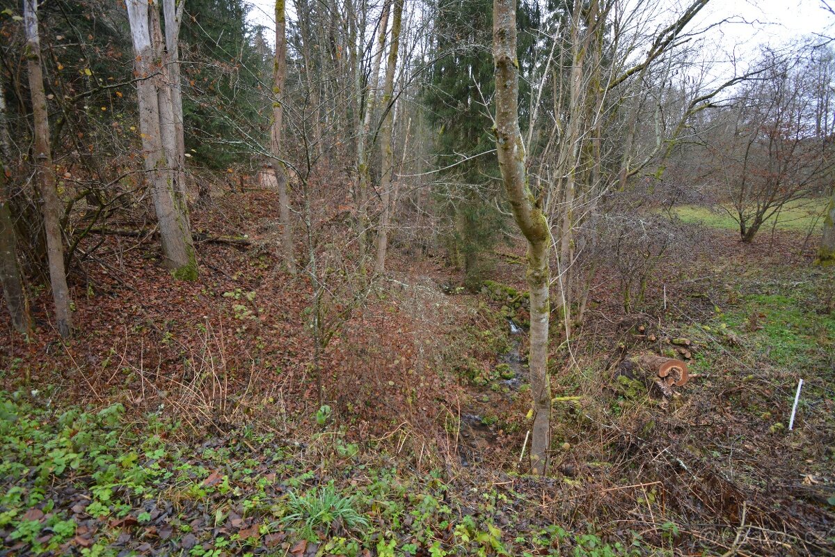 Pozemek Merklín - 11