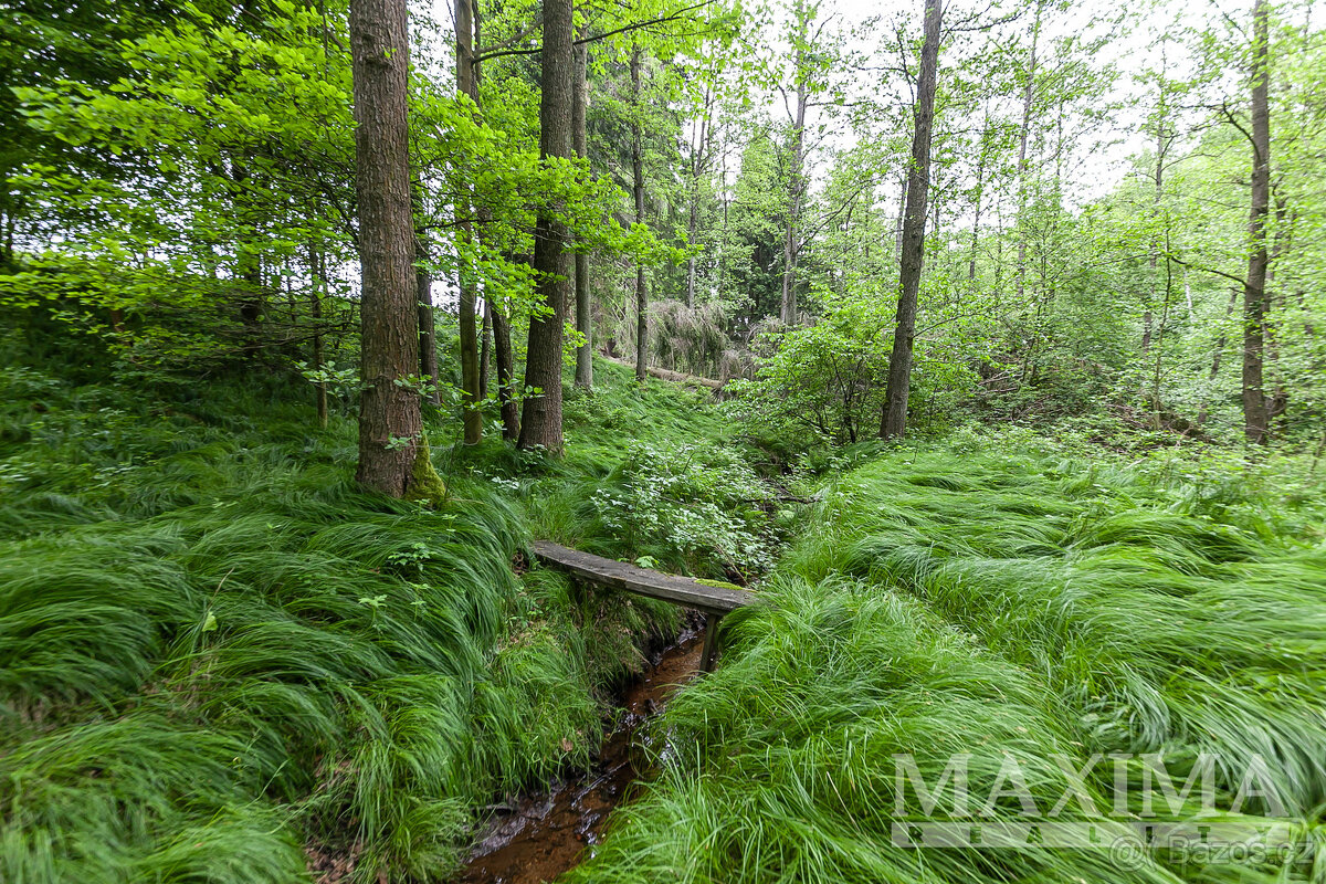 Pozemek o ploše 14573 m2 - Višňová, Předlánce - 11