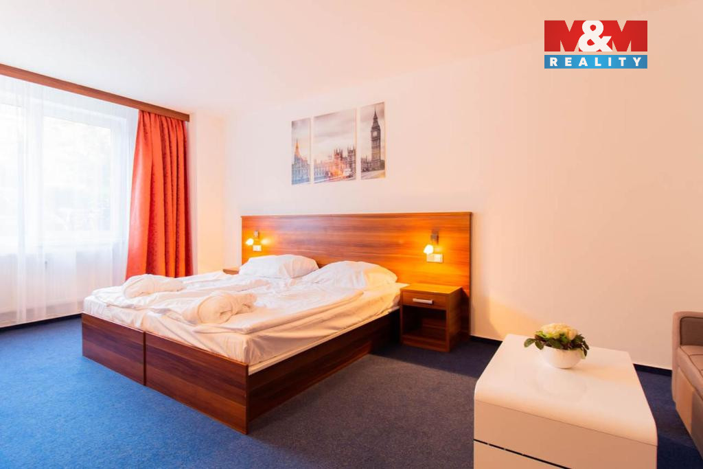 Prodej bytu 1+1, 42 m², Frymburk - 11