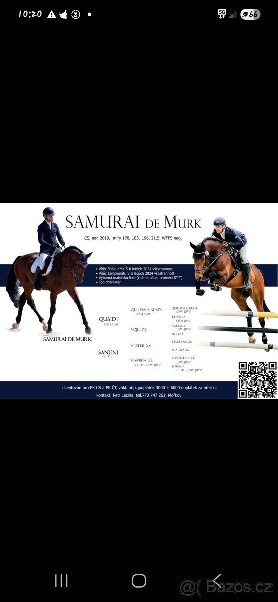 Letošní hřebeček - 11