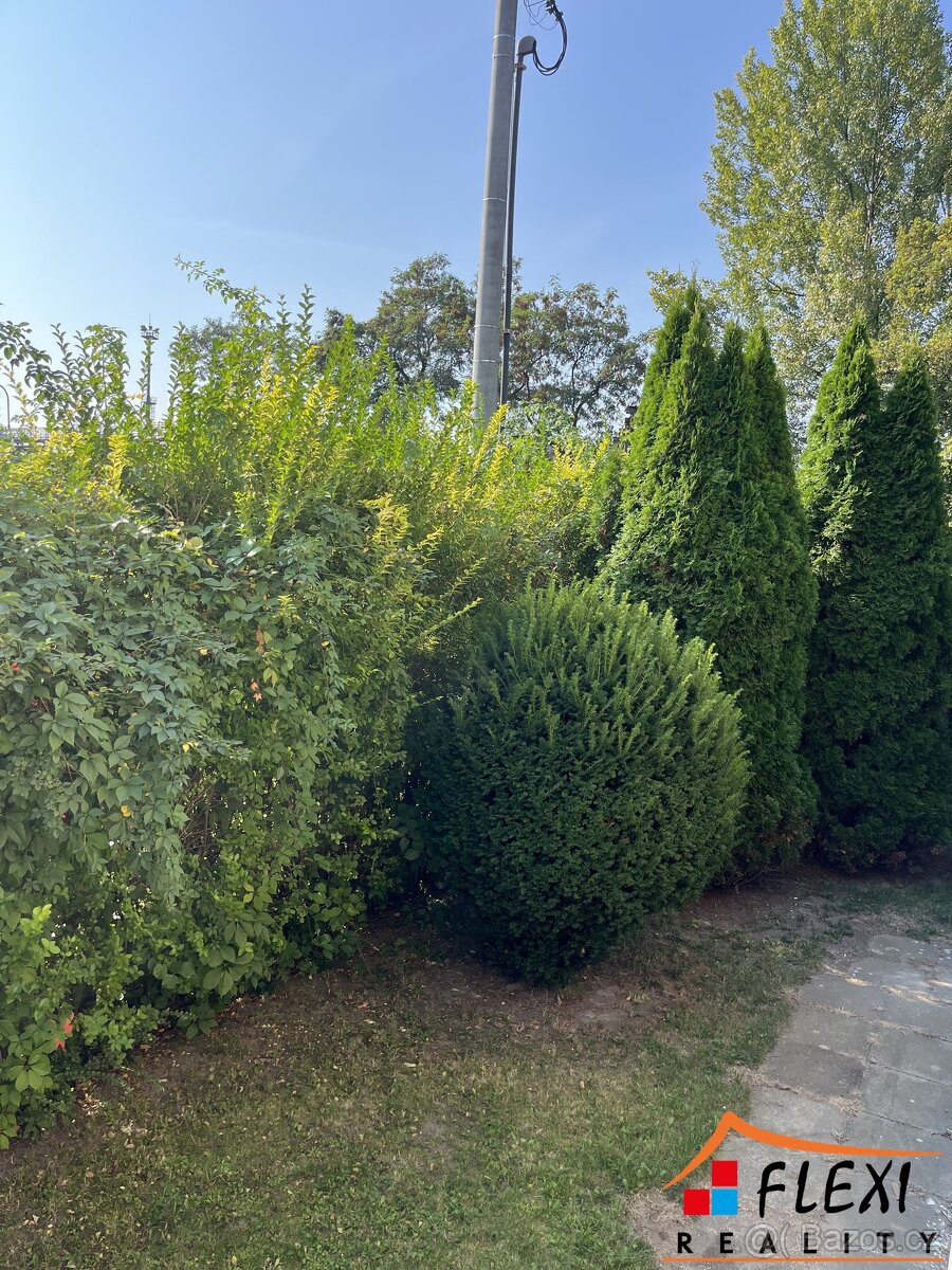 Pronájem hezkého bytu 1+1, 36 m² na ul. Železárenská, Ostrav - 11