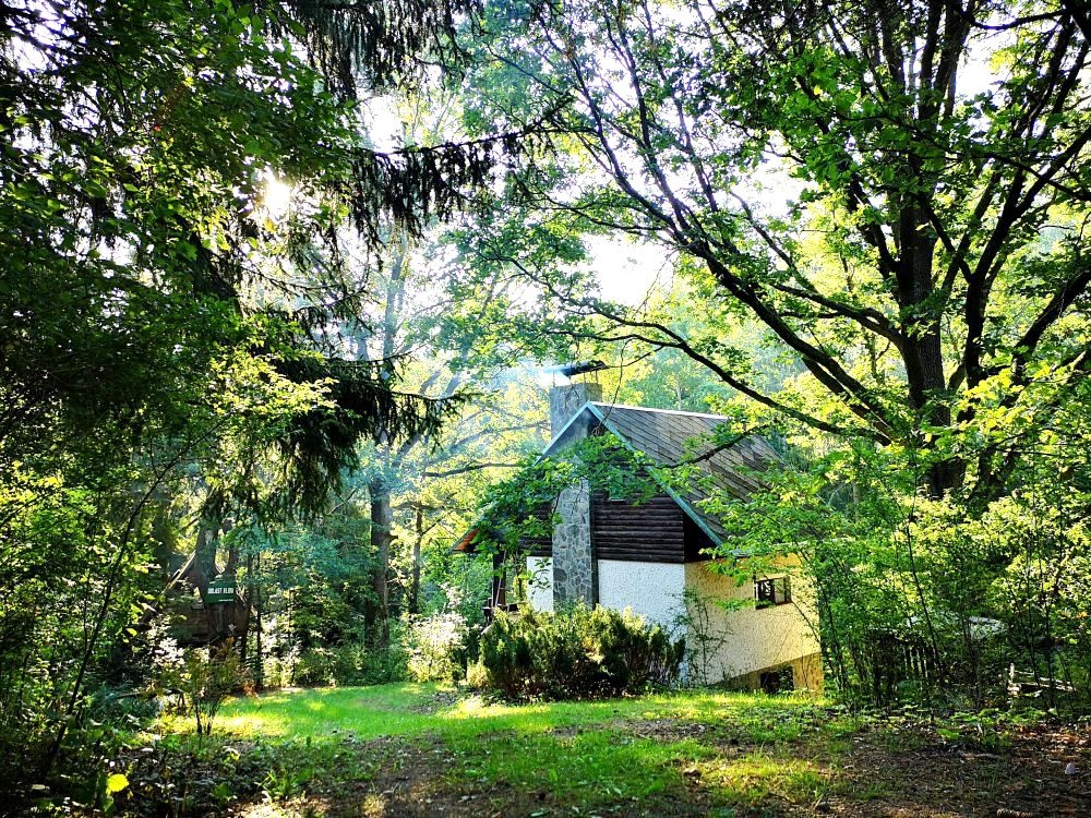 Prodej chaty, 65 m2, Erpužice-Malovice - 11